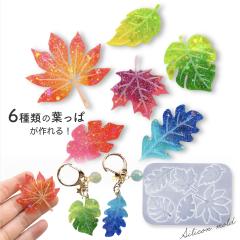 �V���R�����[���h ���[�t 6��� �t���� �g�t ���W�� ���� �A�N�Z�T���[ �p�[�c �`���[�� �L�[�z���_�[ ���W���^ �G�|�L�V���� �n���h���C