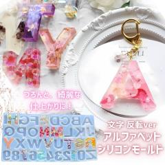 �V���R�����[���h �A���t�@�x�b�g ���W�� �p�� �啶�� ���� �L�O�� �A�N�Z�T���[ �`���[�� �L�����h�� �A���}�X�g�[�� �V���R�����[���h 