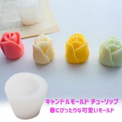 �L�����h�� ���[���h �`���[���b�v ���ԃL�����h�� �V���R�����[���h �L�����h�� �^ �\�C���b�N�X �p���t�B�����b�N�X �A���}�L�����h�� 