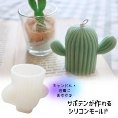 �L�����h�� ���[���h �T�{�e�� �A�� �V���R�����[���h �L�����h�� �^ �\�C���b�N�X �p���t�B�����b�N�X �A���}�L�����h�� �A���}�X�g�[��