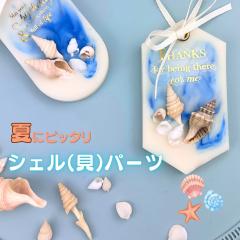 �L�k �p�[�c �V�F�� ���L �~�j�T�C�Y �V�R�f�� ���W�� �l�C�� �p�[�c �n�[�o���E�� �L�����h�� �� �C���`�[�t �V�[�V�F�� �i�`�������V�F