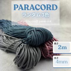 �p���R�[�h 4mm �����_�� 3�F 2m �p���R�[�h �R �X�}�z�V�����_�[ �u���X���b�g �L�[�z���_�[ ��| �n���h���C�h �p�X�e�� ������ �~���^