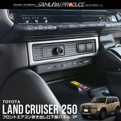 �����h�N���[�U�[250 �t�����g�G�A�R�������o���������p�l�� 1P �T�e���V���o�[ �����N��250 ��p �J�X�^�� �p�[�c �A�N�Z�T���[ �I�v�V