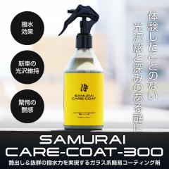 �K���X�n�ȈՃR�[�e�B���O�� �T�����C�P�A�R�[�g 300ml �}�C�N���t�@�C�o�[�N���X �R�[�e�B���O�{�H�~�b�g �Z�b�g �h���ʂɓh�荞�ނ���