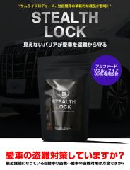 �A���t�@�[�h ���F���t�@�C�A 30�n ��p �ԗ�����\�h���u �X�e���X���b�N �����Ȃ��\�h���u�ň��Ԃ����S�h��I STEALTHLOCK ����΍� ��