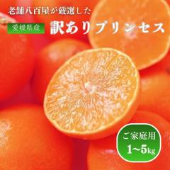 �v�����Z�X 2kg �Ղ�񂹂� �󂠂� ���Q���Y