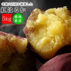 ���܂��� 5kg �g�͂邩 ��� ���� �V�N �T�c�}�C�� �������� �݂���̖��