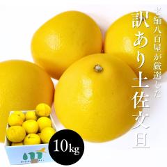 ���U �󂠂� �������� �y�����U 10kg�i20�`30�ʑO��j �Ԃ񂽂� �u���^�� ���m���Y �T�C�Y���C�� ���ƒ�p �X�� ���� ���_���� �y���Ԃ�