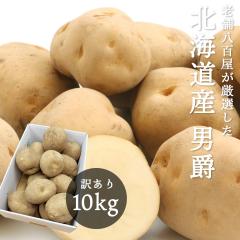 �j�� 10kg �k�C���Y ���Ⴊ���� �T�C�Y���C�� M�`2L �󂠂� �j�݃C�� �W���K�C�� �n�鏒 ���Y