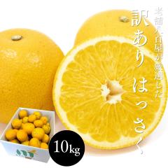 �͂����� 10kg �󂠂� ���� �������� ���ƒ�p �a�̎R���Y �X�� ���� ���_���� ���k �ʕ� �t���[�c ������p