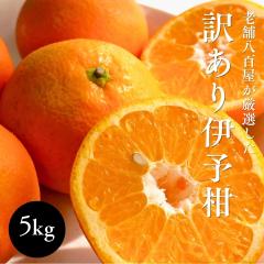 ���悩�� �󂠂� 5kg �ɗ\�� ���Q���Y �T�C�Y���C�� �X�� ���� ���_����