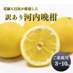 �͓��ӊ� �󂠂� 5kg ���킿�΂񂩂� �ӊ� ���Q���Y ���ƒ�p �X�� ���� ���_����