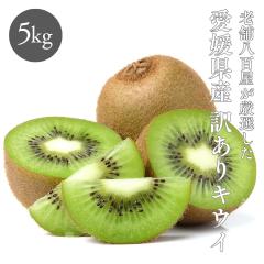 �L�E�C ���Y �󂠂� 5kg �L�E�C�t���[�c �L�E�B ���Q���Y �ʕ� �t���[�c