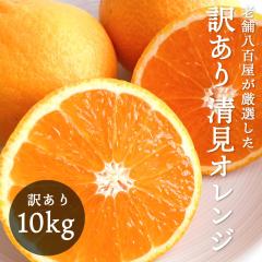 �����I�����W 10kg �a�̎R�Y �󂠂� ���ƒ�p �� ����� �����^���S�[��