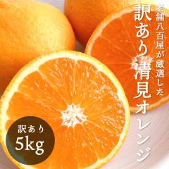 �����I�����W 5kg �a�̎R�Y �󂠂� ���ƒ�p �� ����� �����^���S�[��