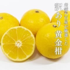 ������ 1kg �������񂩂� �󂠂� ���Q���Y