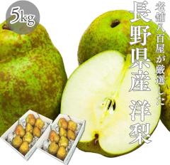 �m�� �󂠂� ���쌧�Y 5kg �i�퍬�� �i�킨�C�� ���E�t�����X ���E���N�`�F �I�[���� �m�i�V ���ƒ�p