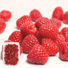 ���Y�x���[ �Ⓚ 500g �z�[�� �嗱 �����s�g�p �`���Y �Ⓚ���Y�x���[