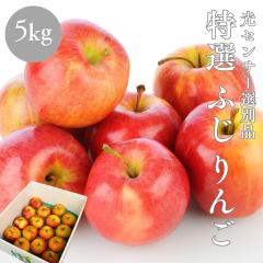 ��� ���I ���x13.5�x�ȏ� �ӂ� ���Z���T�[�I�ʕi 5kg �X���Y ���쌧�Y �ь� �� �����S