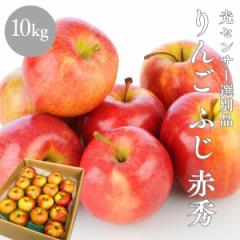 りんご ふじ 赤秀 光センサー選別品 10kg 青森県産 長野県産 林檎 箱 リンゴ