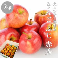 りんご ふじ 赤秀 光センサー選別品 5kg 青森県産 長野県産 林檎 箱 リンゴ