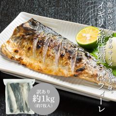 �󂠂� �����T�o �Ⓚ 1kg ��7������ �C�M���X�Y �� �����T�o�̐؂�g ���� �I �t�B�[��