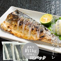 �󂠂� �����T�o �Ⓚ 1kg ��7������ �~2�p�b�N �C�M���X�Y �� �����T�o�̐؂�g ���� �I �t�B�[��