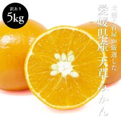 �V���݂��� 5kg ���܂��� �󂠂� �݂��� ���Q���Y �_�炩��