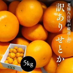 ���Ƃ� �󂠂� ���Q���Y 5kg �T�C�Y���C�� M�T�C�Y���� �݂��� ���k �ƒ�p