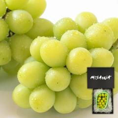 �V���C���}�X�J�b�g �M�t�g ��600g�i��[ 1�[����j ���N�[���ց� ��Ȃ� ���쌧 ���R�� �� �������� �V�N �ʕ� ���ϔ�  �Ӓ菑�t�� �G�i