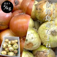 �ʂ˂� �W�H�� 5kg ���Y �璃 �ʔK ���܂˂� �^�}�l�M �� �ۑ���� ������ �T�C�Y���C��(M�`2L)