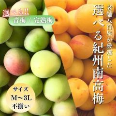 �\��J�n 5�����{���甭���\�� �썂�~ ���~ �~ ���n�~ �󂠂� �T�C�Y���� L~3L ���܂��� �a�̎R�� 5kg ���� ���ƒ�p �I�B �Ȃ񂱂���