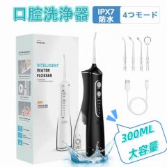 【クーポン配布中】口腔洗浄器 デンタルリンサー ジェット歯ブラシ 電動歯ブラシ 300ML水タンク デンタルフロッサー USB充電 携帯 レビュ