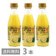 ���ނǂ� �R���V�[�N���[�T�[ 300ml �~3�{�Z�b�g �������� ���ꌧ�Y ���΂� �V�[�N���[�T�[ ���t 100% �X�g���[�g �m�r���`��