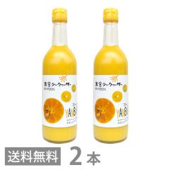�����V�[�N���[�T�[ 500ml �~2�{�Z�b�g �}�C���h�^�C�v ���t �R�� ���΂� ����Y �V�[�N���[�T�[ �ʏ`100�� �W���[�X �X�g���[�g �m�r