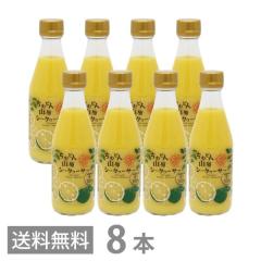 ނǂ RV[N[T[ 300ml ~8{Zbg  ꌧY ΂ V[N[T[ t 100% Xg[g mr`