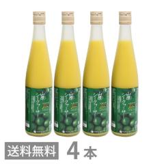 RV[N[T[ _sgp 500ml ~4{Zbg  Y R V[N[T[ t 100% Xg[g mr` W[X 