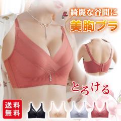 �u���W���[ �m�����C���[�u�� �␳ ���� �e�� 3/4�J�b�v �J�� �i�C�g�u�� �傫���T�C�Y ���f�B�[�X 20�� 30�� 40�� 50�� �e�� �w�� ���[