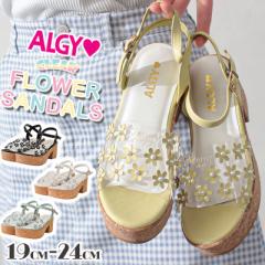 ALGY AW[ 2023 V T_  Xgbv V[Y C ̎q LbY WjA eB[Y  NA[   킢 