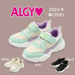 ALGY AW[ 2024V  LbY ̎q WjA C V[Y GA\[ y 킢 {[\[ ʃt@Xi[ Xj[J[
