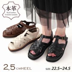 {v T_ ҂݂ 2.5cmq[ U[ OJ fB[X 25tĐV ubN/_[NuE/AC{[  tbg [q[ 