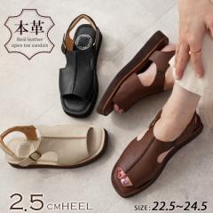 {v T_ 2.5cmq[ U[ fB[X 25tĐV ubN/_[NuE/AC{[  tbg [q[ xg Ȃ 