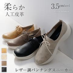 Xj[J[fB[X CR [q[ _炩 y U[ lHv p`O [XAbv  ubN/x[W 22.0cm-24.5cm 