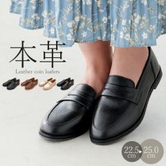 [t@[ fB[X {v 40  ɂ Ȃ 20 30 40 50  U[ ₷ 1.7cmq[ _炩 ubN uE zCg Gi