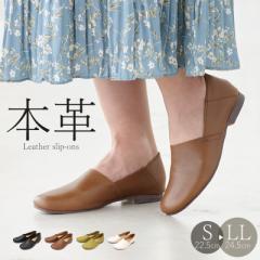 Xb| {v fB[X U[ v _炩 ₷ ɂȂ 1.4cm[q[ ؂  ubN uE zCg I