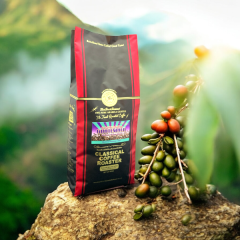 �R�[�q�[�� �A���r�J��100% �O�A�e�}�� �R�[�q�[ 1lb [454g] �y�� or �� �z