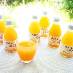 y݁zya̎Rzɓ_@100sAW[X5ݔׁi10{j