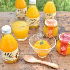 y݁zya̎Rzɓ_@100sAW[XWZbg