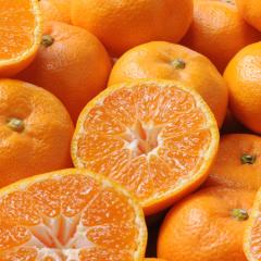  a̎R a̎RY@Lc݂m2D5n