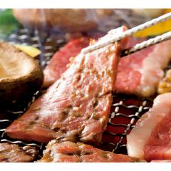 �������� �{�茧 �~���`�N�@�{�鋍�o���ē��p300�� ���Ⓚ�z��